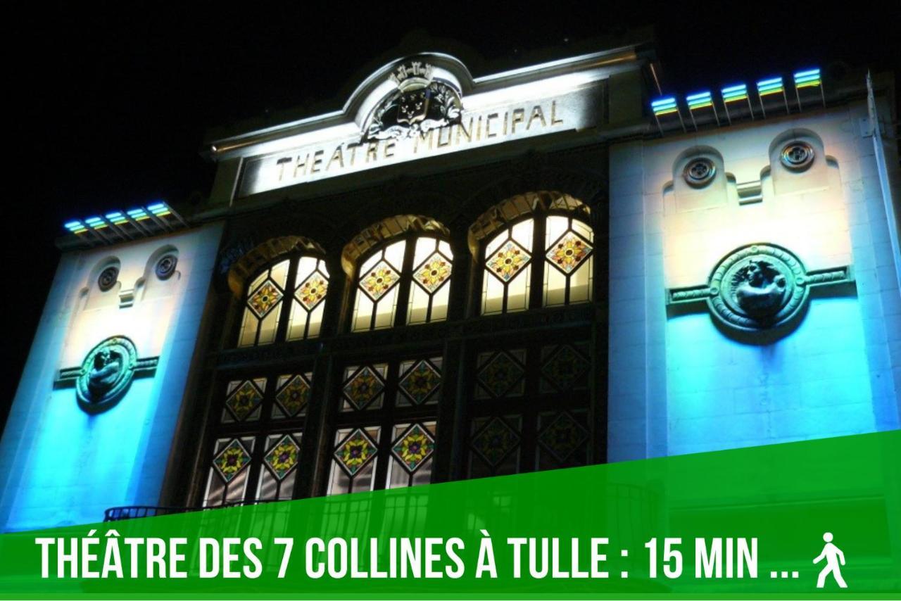 Apartment Lumineux Appartement, 3min De La Gare, Equipe Fibre,bonsejour19 Tulle